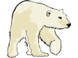 polar bear.gif